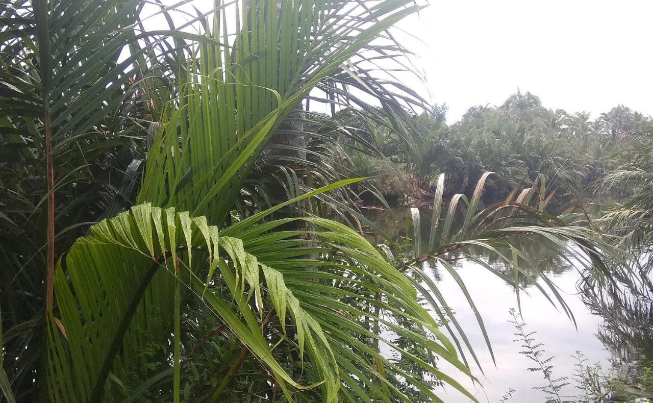 Villa Hoa Su هوي ان المظهر الخارجي الصورة